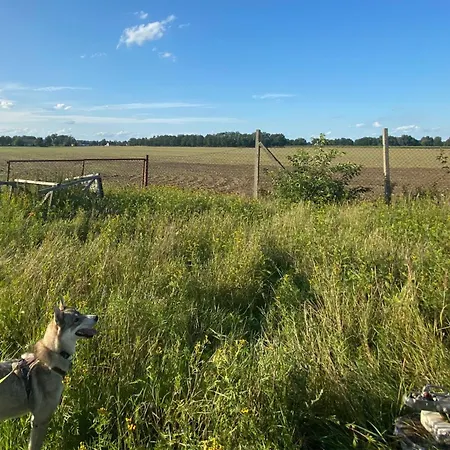 - Ruhige Lage, Free Wlan & Parken, Self Check-in, Smart-tv Lägenhet