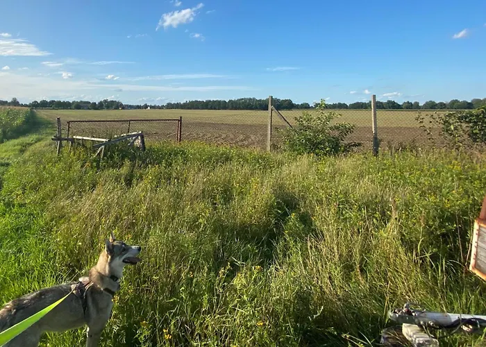 - Ruhige Lage, Free Wlan & Parken, Self Check-in, Smart-tv Apartamento